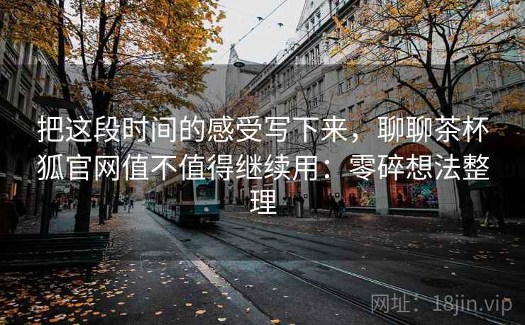 把这段时间的感受写下来，聊聊茶杯狐官网值不值得继续用：零碎想法整理