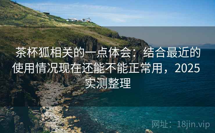 茶杯狐相关的一点体会:结合最近的使用情况现在还能不能正常用,2025 实测整理 茶杯狐相关的一点体会:结合最近的使用情况现在还能不能正常用,2025 实测整理